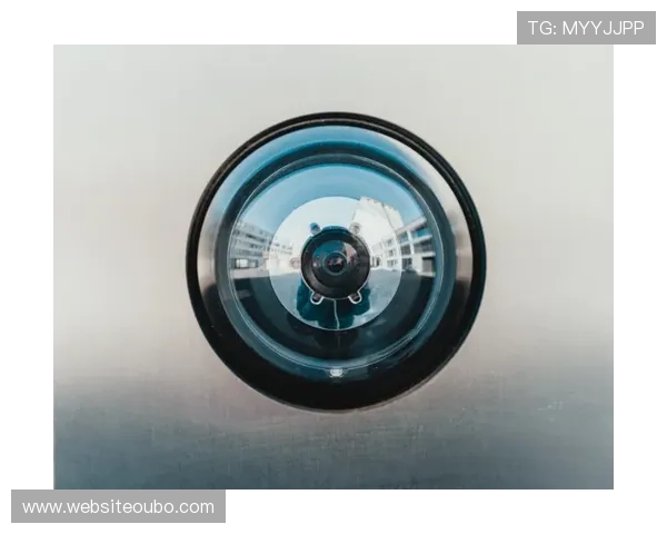 aabbgg88net欧博:用户安全保障措施与隐私保护政策全面解读 aabbgg88net欧博:用户安全保障措施与隐私保护政策全面解读