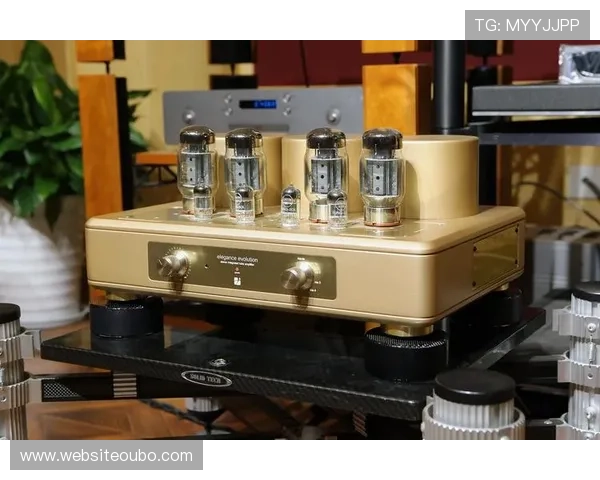 欧博222胆前级的优势特点全面解析，助你打造专业级音响体验